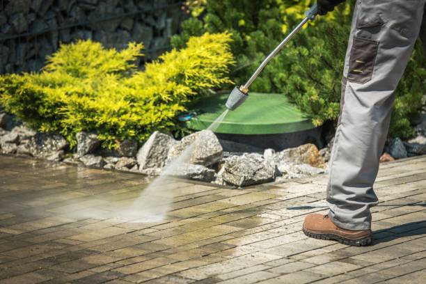 Best Sidewalk and Walkway Cleaning  in Harveys Lake, PA