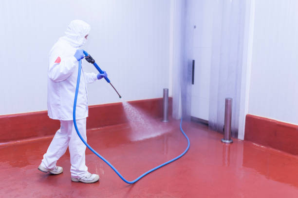 Best House Exterior Washing  in Harveys Lake, PA