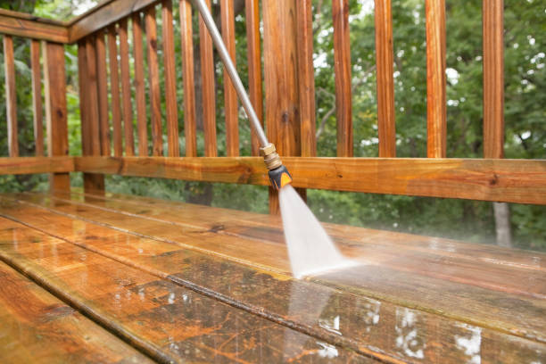 Best Animal Enclosure Cleaning  in Harveys Lake, PA